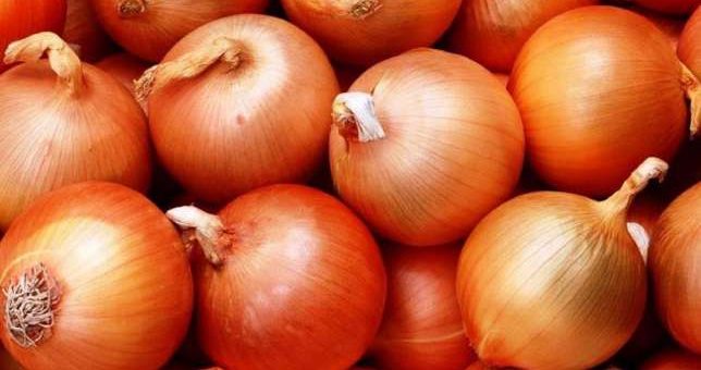 All information about the cultivation of onions